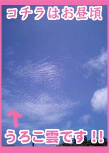 うろこ雲のコピー.jpg