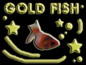 GOLD FISH.jpg