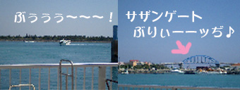 港２のコピー.jpg