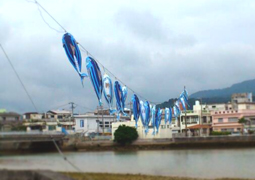 20150506_katuonobori.jpg