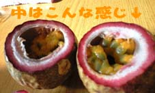 中は・・・ 中は・・・