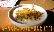 ヨーグルト ヨーグルト