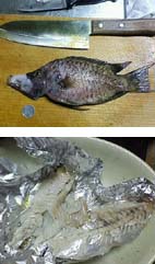 釣果