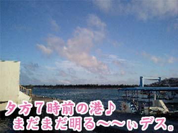 港・19時前のコピー.jpg