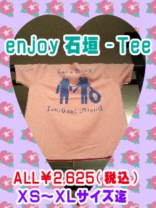 石垣-T2のコピー.jpg 石垣-T2のコピー.jpg