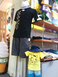 FxCam_20150610_mane02.jpg