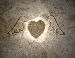 heart.jpg