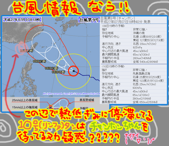 台風9号（チャンホンちゃん）.jpg