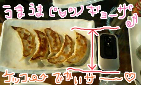 ぎょ~ざ.jpg ぎょ~ざ.jpg