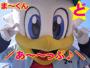 ま~くん♪.jpg ま~くん♪.jpg