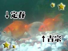 定春&吉宗.jpg 定春&吉宗.jpg