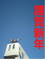 新年 新年