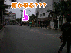 何か来る・・・.gif
