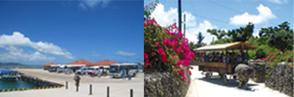 taketomi island.jpg taketomi island.jpg