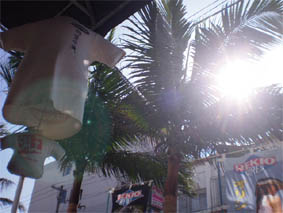 夏！.jpg