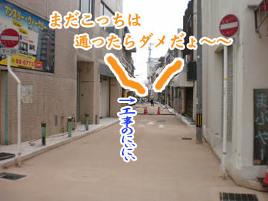 シーサー??.jpg シーサー??.jpg
