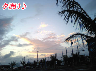 ２月１４日夕焼けのコピー.jpg
