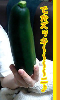 ズッキーニのコピー.jpg ズッキーニのコピー.jpg