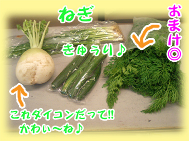島の野菜達.jpg 島の野菜達.jpg
