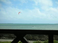 s1267776605515.jpg