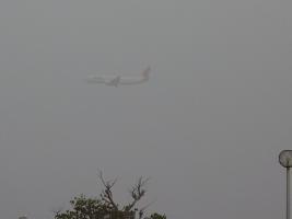 飛行機