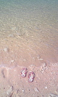 DVC00097.jpg