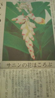 20100407145423.jpg