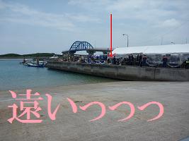 遠い通訳