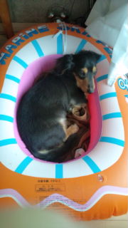 20100418143448.jpg