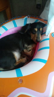 20100418143516.jpg