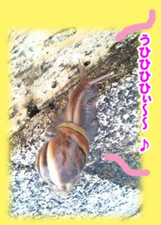 ばいきんまんのコピー.jpg