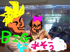 画像 005.jpg 画像 005.jpg