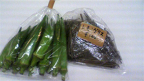 野菜★.jpg