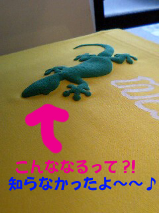 こんななるって？.jpg
