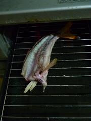 塩焼き 塩焼き