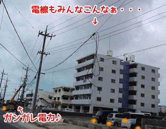 頑張れ、頑張れ♪.gif