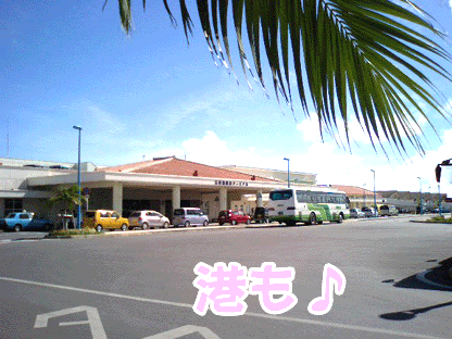 港.gif