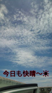 20100701124017.jpg