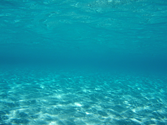 海中.jpg