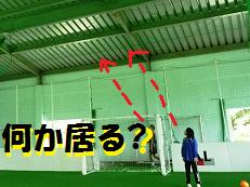 あれは何？