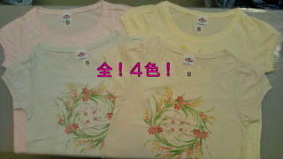 20100811103357.jpg