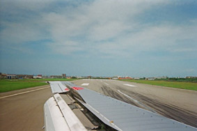 wing.jpg