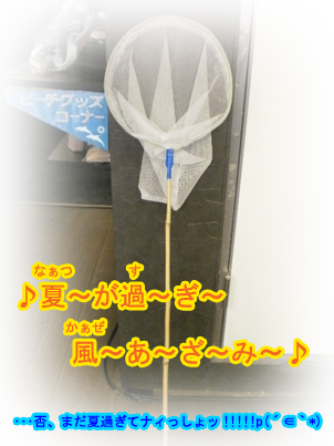 虫網～.jpg
