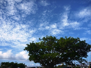 青空