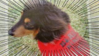 20100825131210.jpg