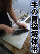 胃袋解体㊥★.jpg 胃袋解体㊥★.jpg
