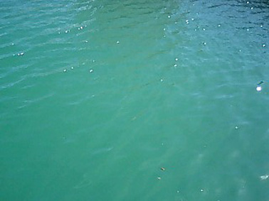 して、目の前の海!!!!!.jpg して、目の前の海!!!!!.jpg