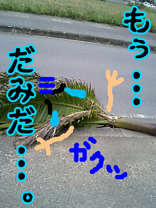 台風一過.jpg