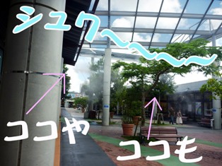 ミスト ミスト