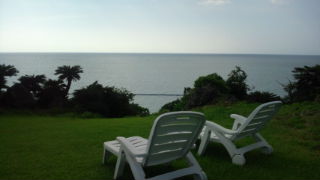 20100704164306.jpg